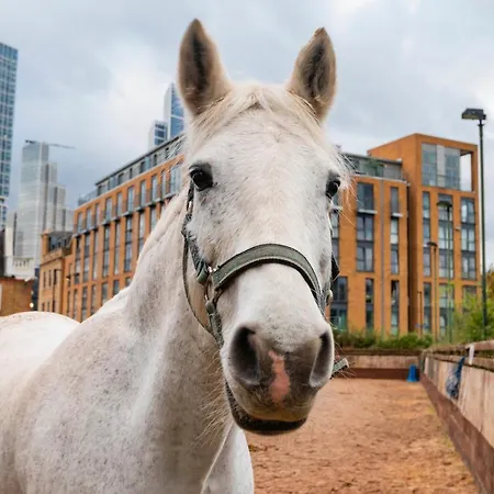 Apartment Farm View 2-bedroom Apartment, Vauxhall London