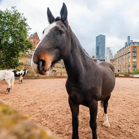 Farm View 2-bedroom Apartment, Vauxhall