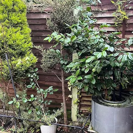 Apartment Stunning 2 Bedroom Duplex In The Heart Of London