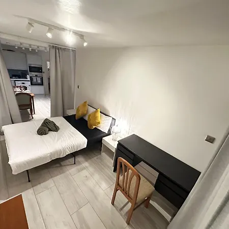 Large Studio With Extra Sofa Bed And Private Bath Plus Kitchen Canary Wharf 1 Appartement