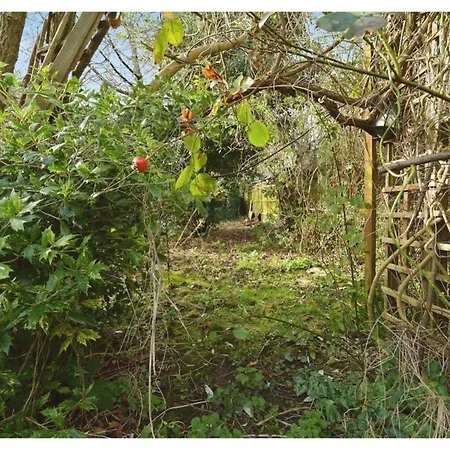 Charming 3br With Parking Holiday home Uxbridge