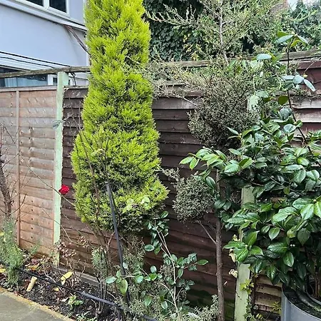 Stunning 2 Bedroom Duplex In The Heart Of * London