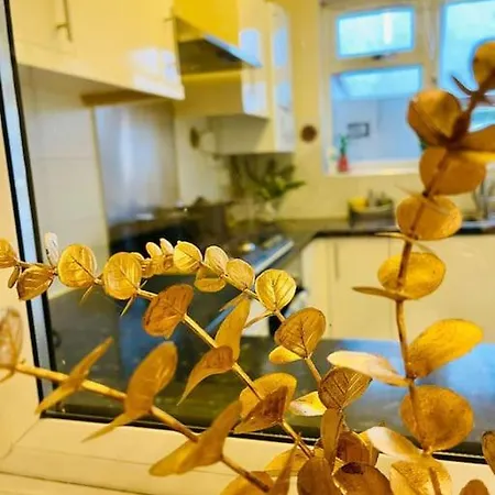 Beautiful 3bd Family With Huge Private Graden