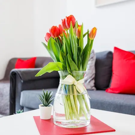 Apartment 12 Bed Charming And Bright Flat