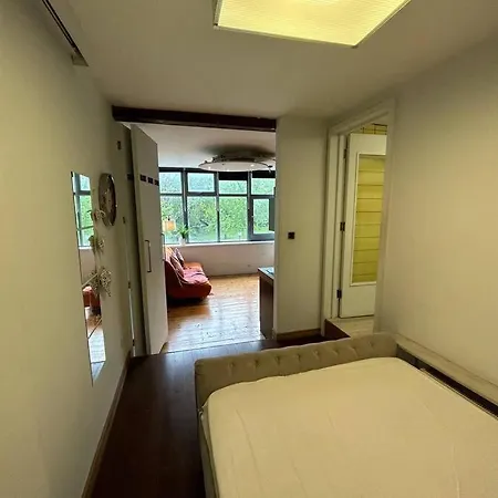 Bright Flat In Islington *