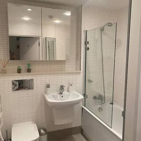 Apartment Lovely And Spacious Wimbledon Flat London