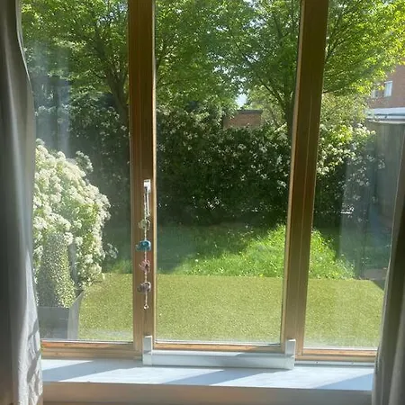Lovely And Spacious Wimbledon Flat