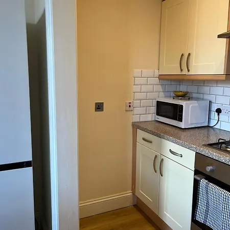 Stylish And Cosy 1-bed Flat 公寓 伦敦