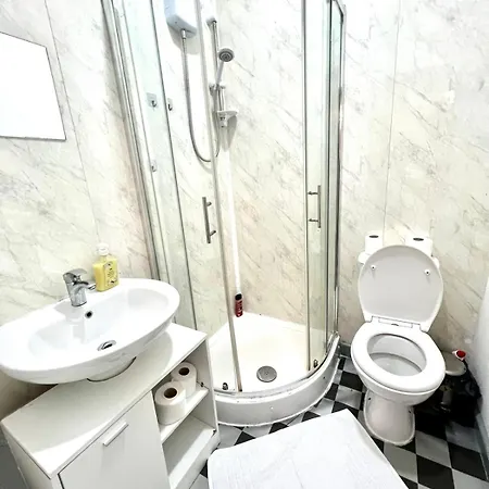 公寓 Specious Flat In A Good Location 伦敦