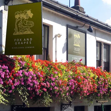 Locanda Fox And Grapes Londra