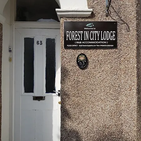 Forest In Bed & Breakfast