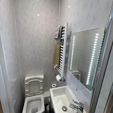 Entire Luxury 4 Bedroom Victorian House With 2 En-suite - Forest Hill, * London