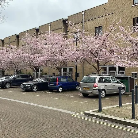 Plough Way Flat