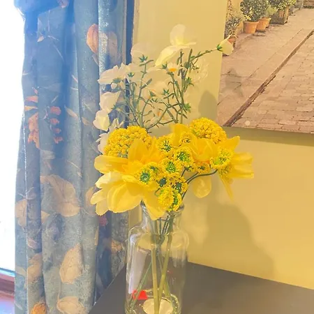 Homestay Your Cosy And Welcoming Homestay!! *