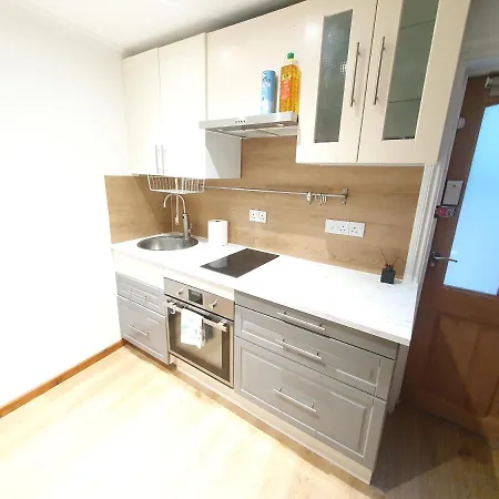 Apartment Apartment, Tv, Wifi Kitchen Parking, Wembley Elizabeth Line