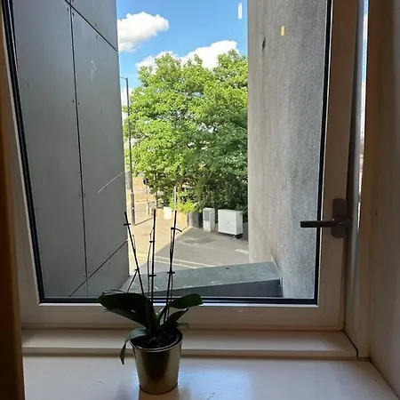 New Build 2 Bedroom With 2 Bath In *