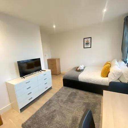 Cozy En-suite Near Stratford Guest house London