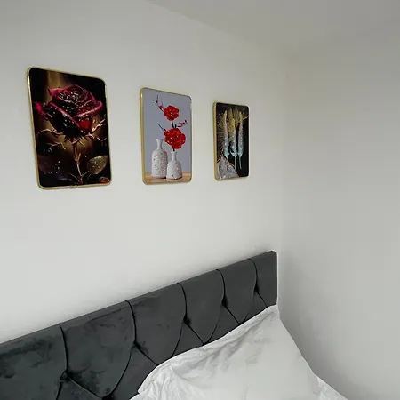 Two Bedroom Central Location Modern Flat Stratford