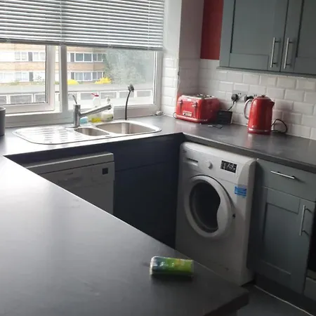 Spacious Wanstead Apartment- Sleeps 4!