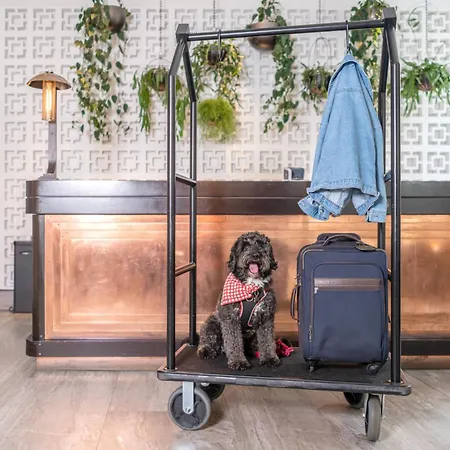 Hart Shoreditch London, Curio Collection By Hilton Hotel 4*