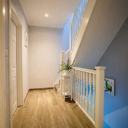 Guest house Amazing 4*
