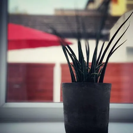 Paul's Place Near Heathrow Apartment *