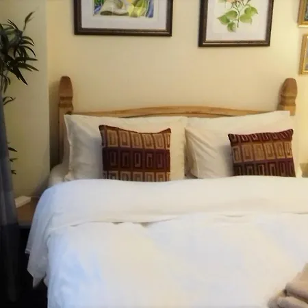 Double With Private Bathroom In Flat Centre Homestay London