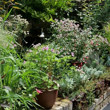 Bright And Elegant 2 Bedroom Flat, Near Notting Hill Apartment *