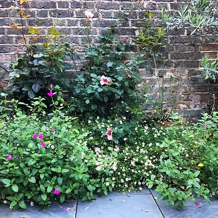 Bright And Elegant 2 Bedroom Flat, Near Notting Hill