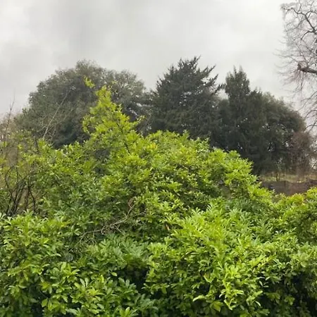 Gardens View Cosy One Bedroom Flat Free Wifi Kew