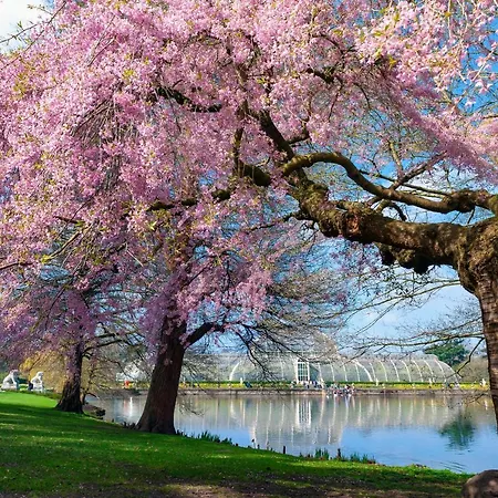 Richmond Riverside *