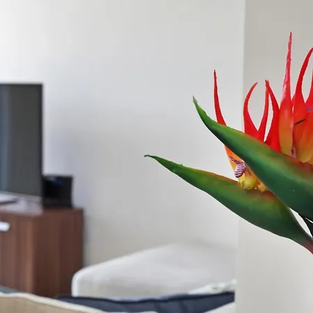 Apartment Lux 2 & 3 Bed In Camden Town Free Wifi By Aparts London