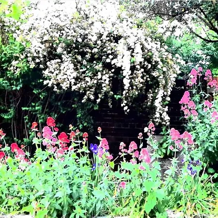 Tatil Evi Love And Peace Cottages *