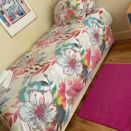 Guest house Cama Box Finsbury Park London