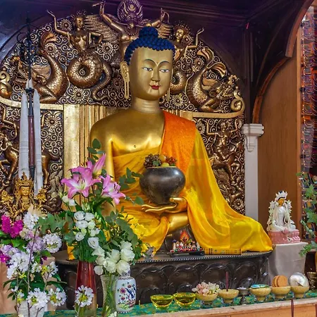 Lotus Guesthouse In Jamyang Buddhist Center Affittacamere