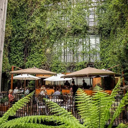 Hotel The Mandrake (adults Only) 5*