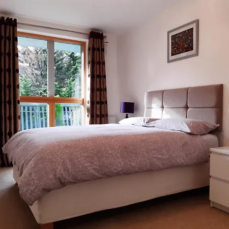 Stylish Wembley Stadium And Ovo Arena Apartment,