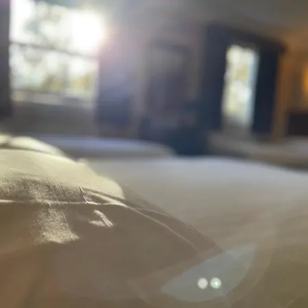 Hotel Orchard 3*