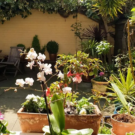 Homestay Double With Bathroom In - Vauxhall *