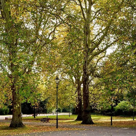 Apartment Veeve - White Lights On Wendle Square London