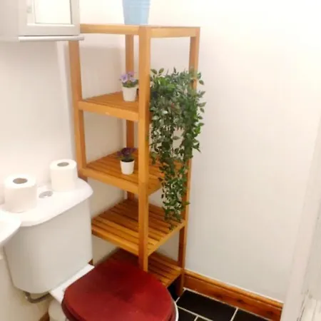 Flat Near Liverpool St & Shoreditch London. Apartamento *