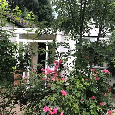 Whole House With Parking And Huge Garden * Orpington