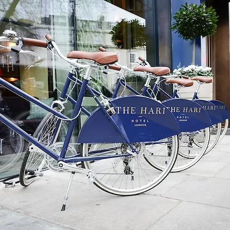 The Hari London