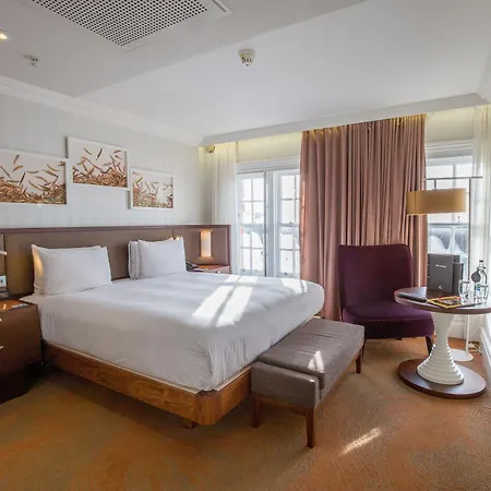 Hotel Hilton Hyde Park 4*