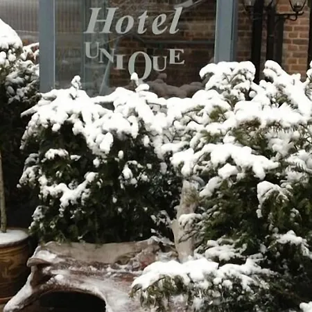 Unique Hotel 3*