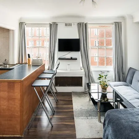 Cozy In - Marble Arch Apartment London