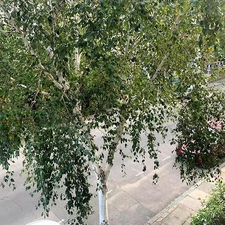 Lovely Spacious 1-bedroom Flat In Tufnell Park Close To London