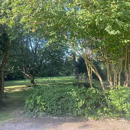 3 Bedroom Bungalow Set In Private Woodlands. * Upminster