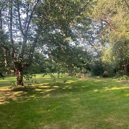 3 Bedroom Bungalow Set In Private Woodlands. * Upminster