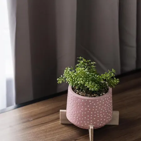 Apartmán Modern Londýn